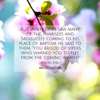 Picture 07 - Matthew 3:7 BSB - But when John saw many of the Pharisees and - Bible Verse Picture