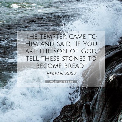 Picture 07 - Matthew 4:3 BSB - The tempter came to Him and said, “If You are - Bible Verse Picture