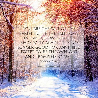 Picture 07 - Matthew 5:13 BSB - You are the salt of the earth. But if the salt - Bible Verse Picture