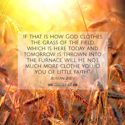 Picture 07 - Matthew 6:30 BSB - If that is how God clothes the grass of the - Bible Verse Picture