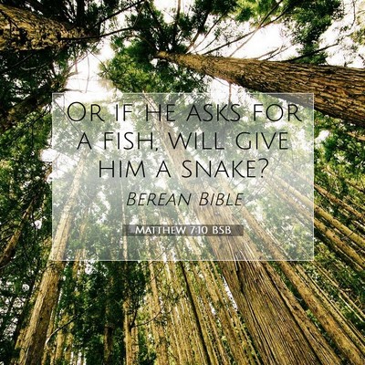 Picture 07 - Matthew 7:10 BSB - Or if he asks for a fish, will give him a - Bible Verse Picture
