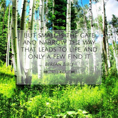 Picture 07 - Matthew 7:14 BSB - But small is the gate and narrow the way that - Bible Verse Picture