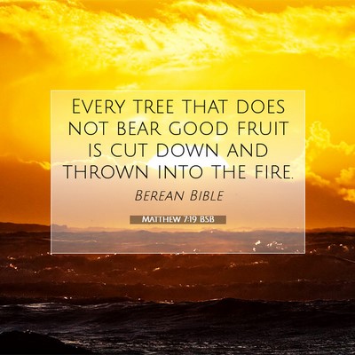 Picture 07 - Matthew 7:19 BSB - Every tree that does not bear good fruit is cut - Bible Verse Picture