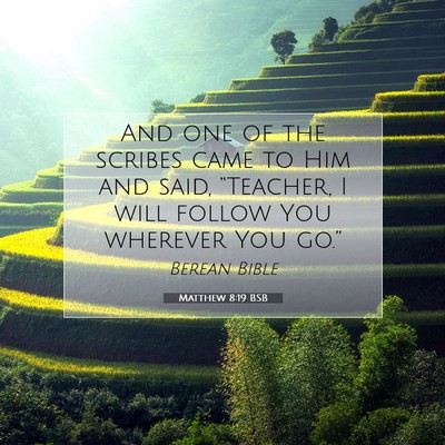 Picture 07 - Matthew 8:19 BSB - And one of the scribes came to Him and said, - Bible Verse Picture