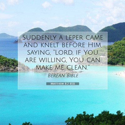 Picture 07 - Matthew 8:2 BSB - Suddenly a leper came and knelt before Him, - Bible Verse Picture