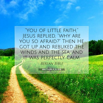 Picture 07 - Matthew 8:26 BSB - “You of little faith,” Jesus replied, “why - Bible Verse Picture