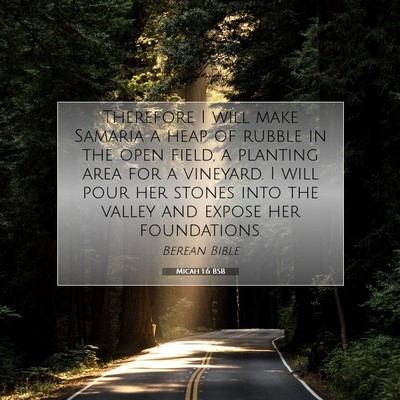 Picture 07 - Micah 1:6 BSB - Therefore I will make Samaria a heap of rubble in - Bible Verse Picture