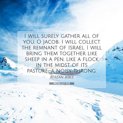Picture 07 - Micah 2:12 BSB - I will surely gather all of you, O Jacob; I will - Bible Verse Picture