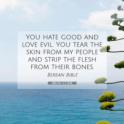 Picture 07 - Micah 3:2 BSB - You hate good and love evil. You tear the skin - Bible Verse Picture