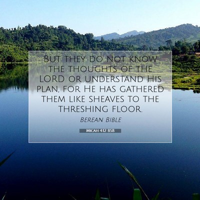 Picture 07 - Micah 4:12 BSB - But they do not know the thoughts of the LORD or - Bible Verse Picture