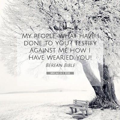 Picture 07 - Micah 6:3 BSB - ‘My people, what have I done to you? Testify - Bible Verse Picture