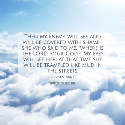 Picture 07 - Micah 7:10 BSB - Then my enemy will see and will be covered with - Bible Verse Picture