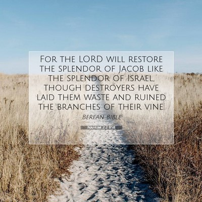 Picture 07 - Nahum 2:2 BSB - For the LORD will restore the splendor of Jacob - Bible Verse Picture