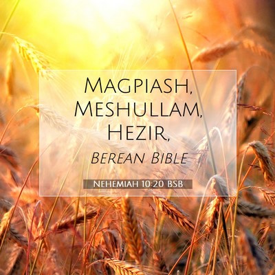 Picture 07 - Nehemiah 10:20 BSB - Magpiash, Meshullam, - Bible Verse Picture
