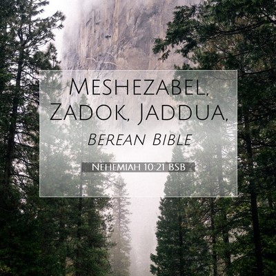 Picture 07 - Nehemiah 10:21 BSB - Meshezabel, Zadok, - Bible Verse Picture