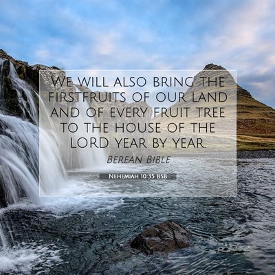 Picture 07 - Nehemiah 10:35 BSB - We will also bring the firstfruits of our land - Bible Verse Picture