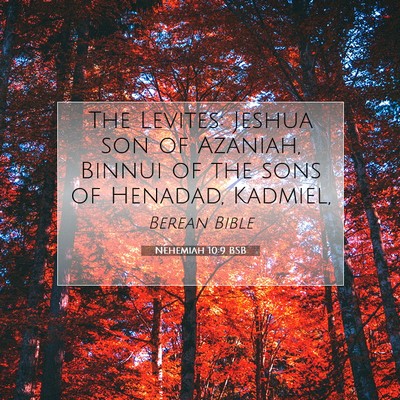 Picture 07 - Nehemiah 10:9 BSB - The Levites: Jeshua son of Azaniah, Binnui of the - Bible Verse Picture
