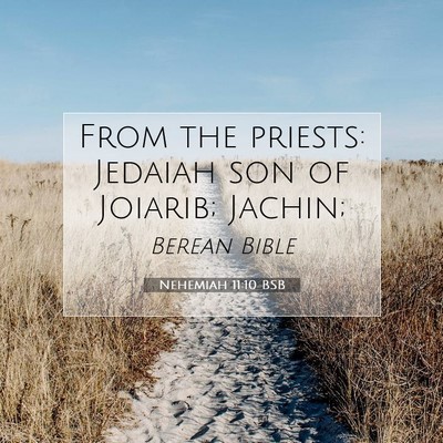 Picture 07 - Nehemiah 11:10 BSB - From the priests: Jedaiah son of Joiarib; - Bible Verse Picture