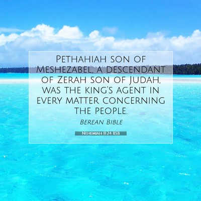 Picture 07 - Nehemiah 11:24 BSB - Pethahiah son of Meshezabel, a descendant of - Bible Verse Picture