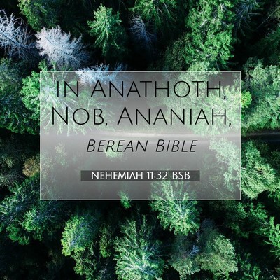 Picture 07 - Nehemiah 11:32 BSB - in Anathoth, Nob, - Bible Verse Picture