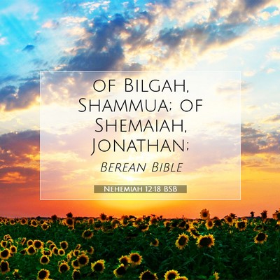 Picture 07 - Nehemiah 12:18 BSB - of Bilgah, Shammua; of Shemaiah, - Bible Verse Picture