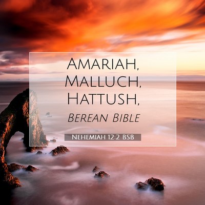 Picture 07 - Nehemiah 12:2 BSB - Amariah, Malluch, - Bible Verse Picture