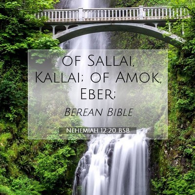 Picture 07 - Nehemiah 12:20 BSB - of Sallai, Kallai; of Amok, - Bible Verse Picture