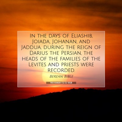 Picture 07 - Nehemiah 12:22 BSB - In the days of Eliashib, Joiada, Johanan, and - Bible Verse Picture