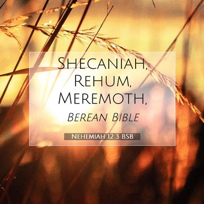 Picture 07 - Nehemiah 12:3 BSB - Shecaniah, Rehum, - Bible Verse Picture