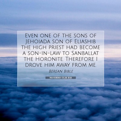Picture 07 - Nehemiah 13:28 BSB - Even one of the sons of Jehoiada son of Eliashib - Bible Verse Picture