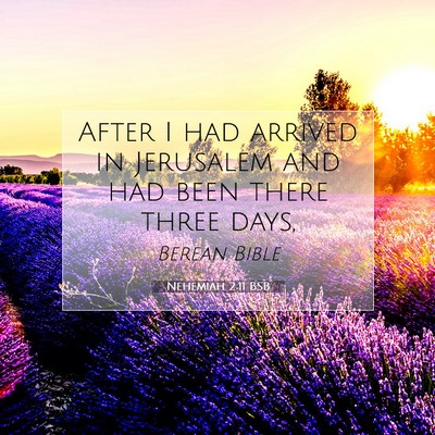 Picture 07 - Nehemiah 2:11 BSB - After I had arrived in Jerusalem and had been - Bible Verse Picture
