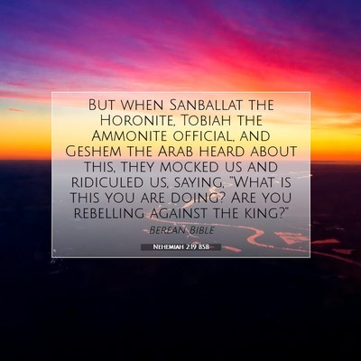 Picture 07 - Nehemiah 2:19 BSB - But when Sanballat the Horonite, Tobiah the - Bible Verse Picture