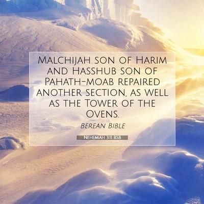 Picture 07 - Nehemiah 3:11 BSB - Malchijah son of Harim and Hasshub son of - Bible Verse Picture