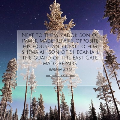 Picture 07 - Nehemiah 3:29 BSB - Next to them, Zadok son of Immer made repairs - Bible Verse Picture