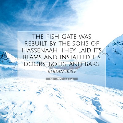 Picture 07 - Nehemiah 3:3 BSB - The Fish Gate was rebuilt by the sons of - Bible Verse Picture
