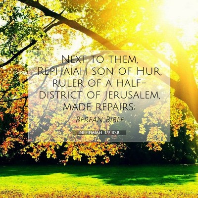 Picture 07 - Nehemiah 3:9 BSB - Next to them, Rephaiah son of Hur, ruler of a - Bible Verse Picture
