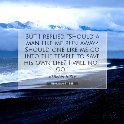 Picture 07 - Nehemiah 6:11 BSB - But I replied, “Should a man like me run away? - Bible Verse Picture