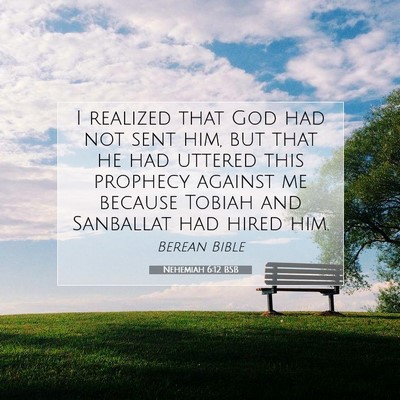Picture 07 - Nehemiah 6:12 BSB - I realized that God had not sent him, but that he - Bible Verse Picture