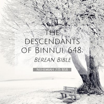 Picture 07 - Nehemiah 7:15 BSB - the descendants of Binnui, - Bible Verse Picture