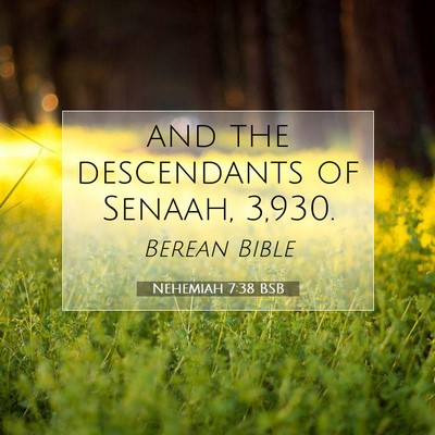 Picture 07 - Nehemiah 7:38 BSB - and the descendants of Senaah, - Bible Verse Picture