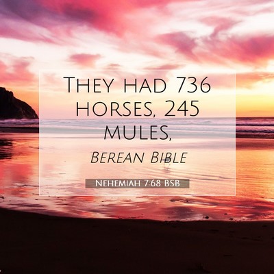 Picture 07 - Nehemiah 7:68 BSB - They had 736 horses, 245 - Bible Verse Picture