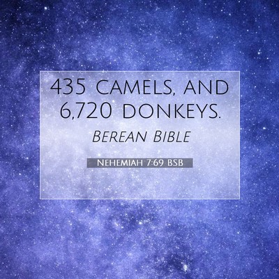 Picture 07 - Nehemiah 7:69 BSB - 435 camels, and 6,720 - Bible Verse Picture