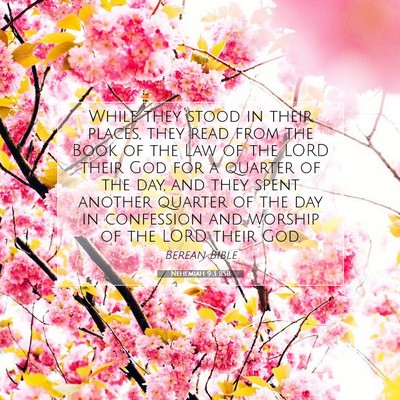 Picture 07 - Nehemiah 9:3 BSB - While they stood in their places, they read from - Bible Verse Picture