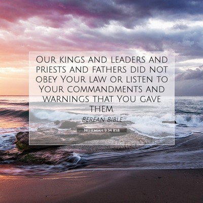 Picture 07 - Nehemiah 9:34 BSB - Our kings and leaders and priests and fathers did - Bible Verse Picture