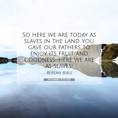 Picture 07 - Nehemiah 9:36 BSB - So here we are today as slaves in the land You - Bible Verse Picture