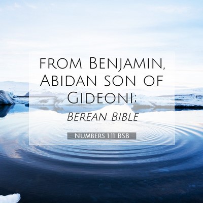 Picture 07 - Numbers 1:11 BSB - from Benjamin, Abidan son of - Bible Verse Picture