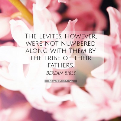 Picture 07 - Numbers 1:47 BSB - The Levites, however, were not numbered along - Bible Verse Picture