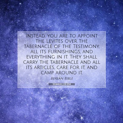 Picture 07 - Numbers 1:50 BSB - Instead, you are to appoint the Levites over the - Bible Verse Picture
