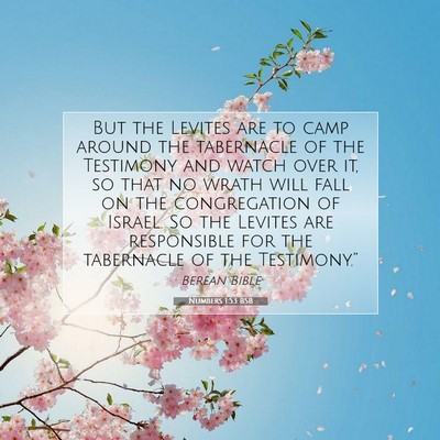 Picture 07 - Numbers 1:53 BSB - But the Levites are to camp around the tabernacle - Bible Verse Picture