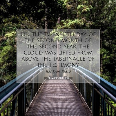 Picture 07 - Numbers 10:11 BSB - On the twentieth day of the second month of the - Bible Verse Picture
